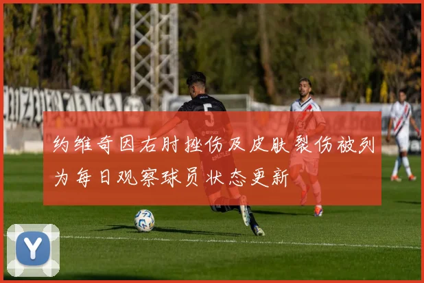 约维奇因右肘挫伤及皮肤裂伤被列为每日观察球员状态更新